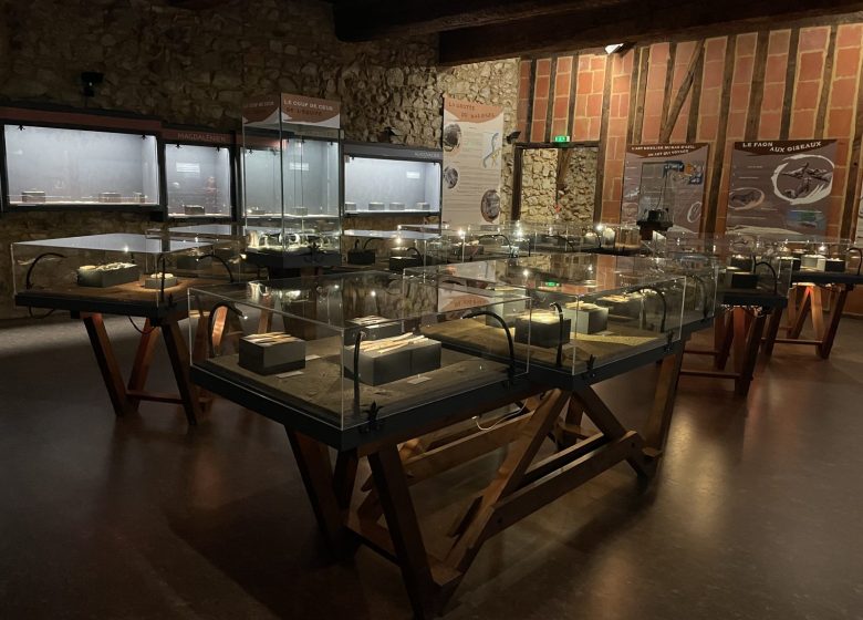 Musée de la Préhistoire_Le Mas-d’Azil
