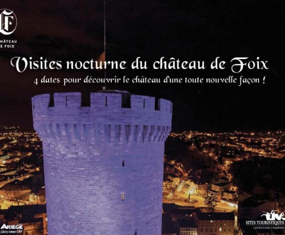 Visite notturne al castello di Foix